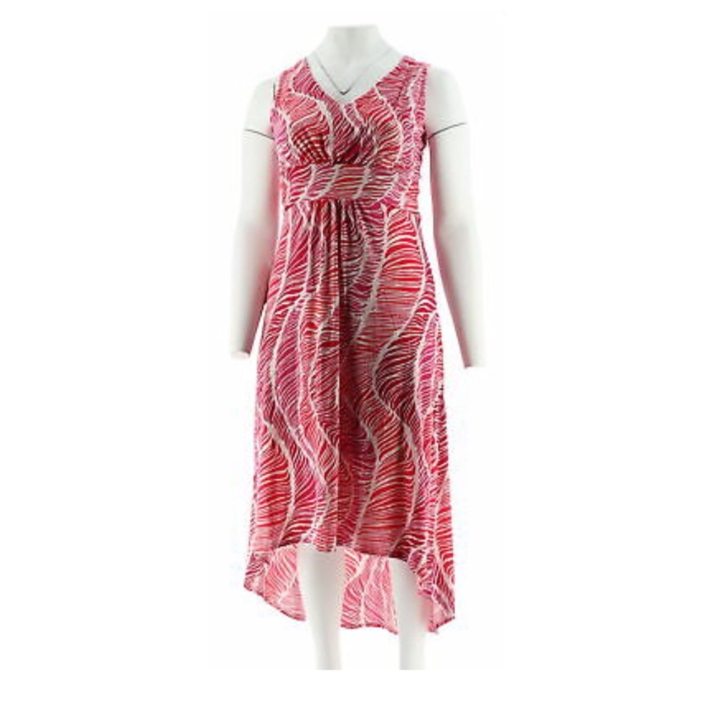 Kelly Clinton V-Neck Sleeveless Hi-Lo Dress